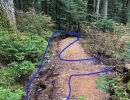 badenpowellwashout