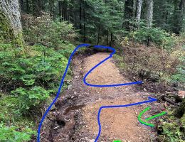 badenpowellwashout
