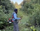 cutting trail