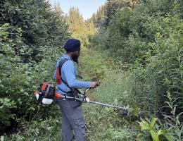 cutting trail