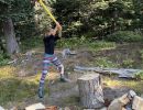 firewood