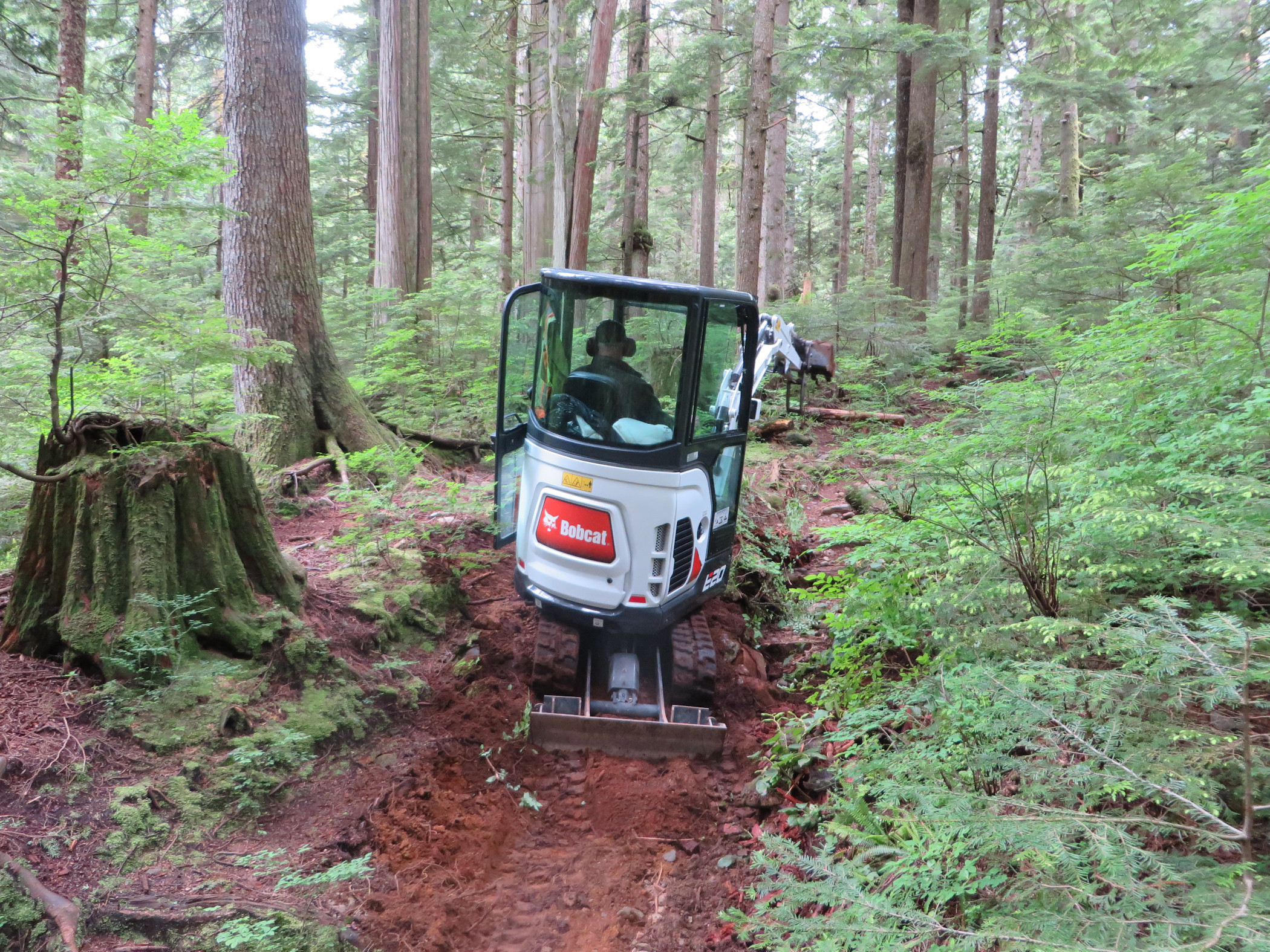 Baden Powell Trail Restoration